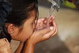 Hydration & Safe Eating